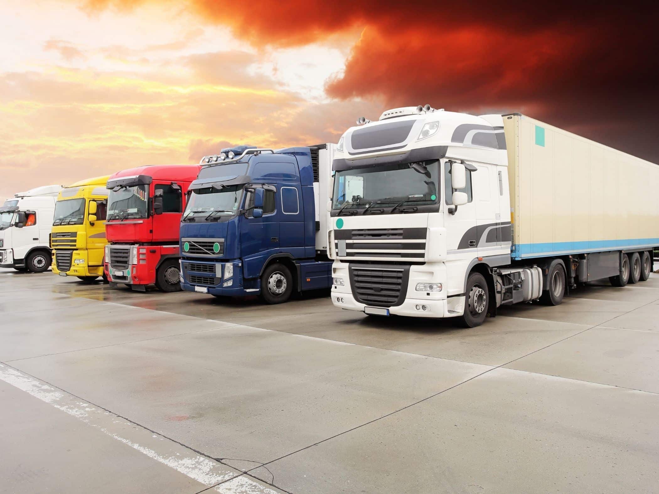 Que es un camion torton