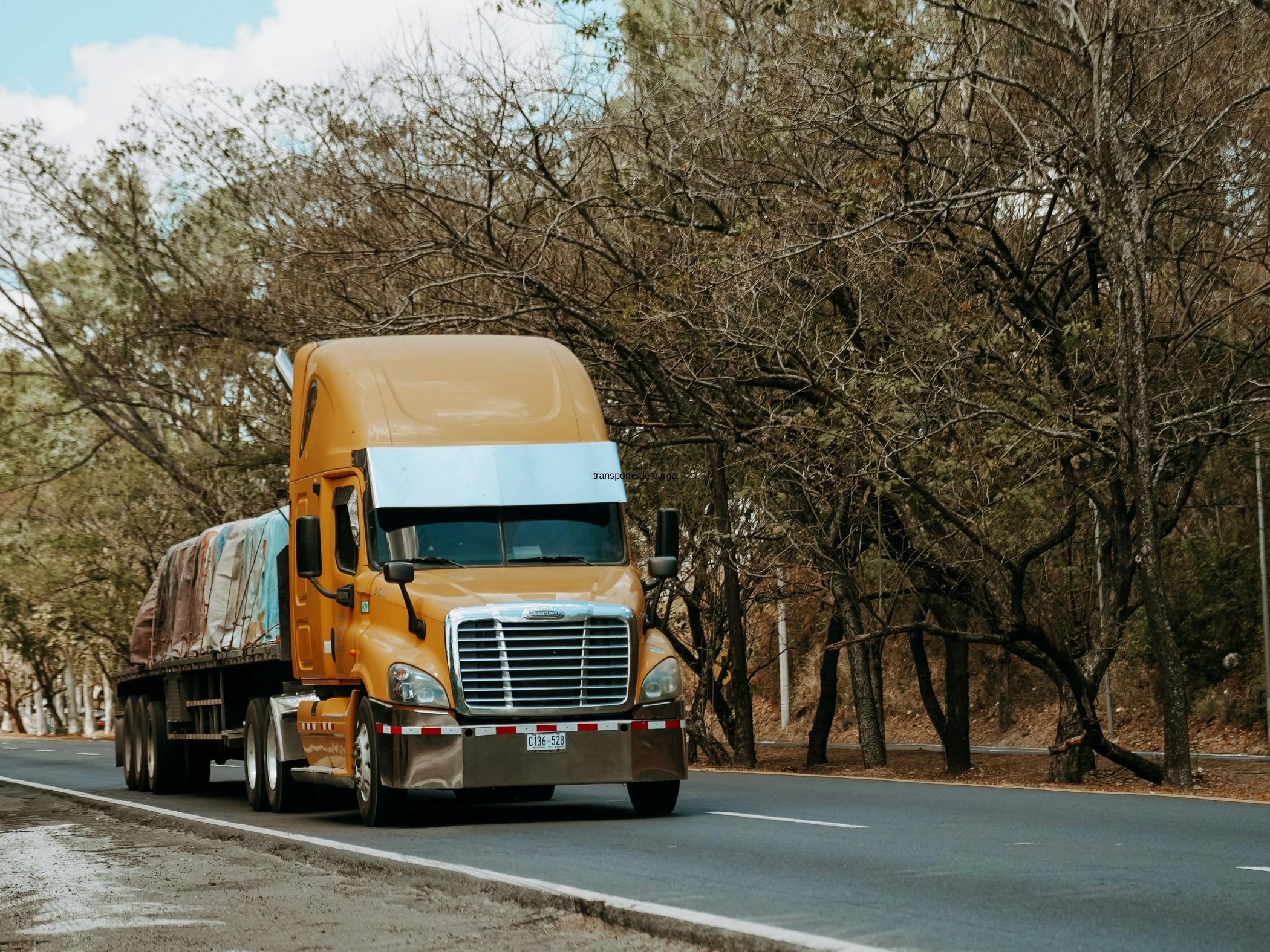 trailer de carga